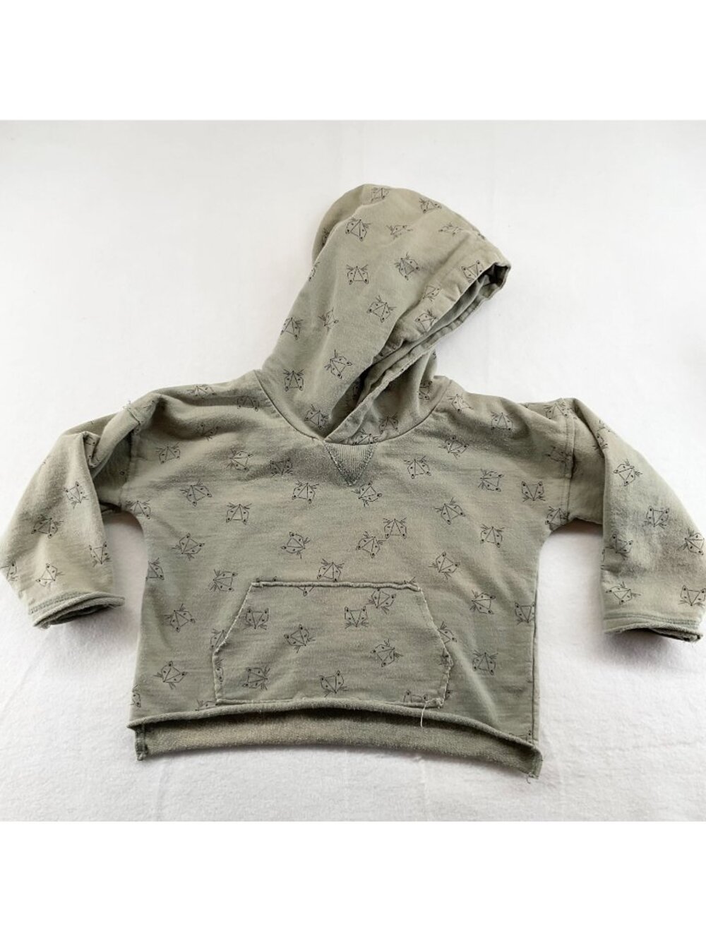 Rylee Cru blue frog fox hoodie  pullover sweatshirt 12-18m